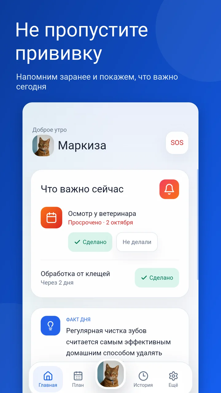 PetCalendar home screen: what matters now and upcoming tasks