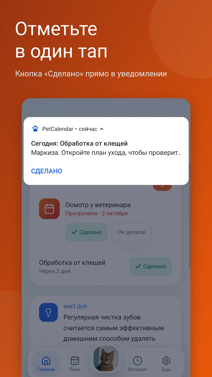Notification with a Done button